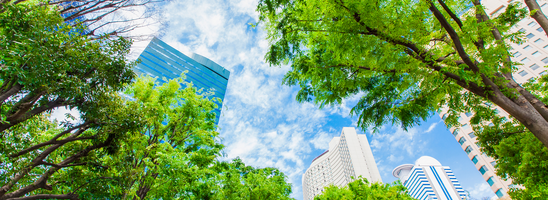 サステナビリティ